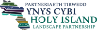 Part Tirwedd Holy Island